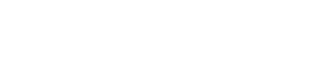 Vizlib